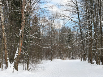 Similar image 21535279