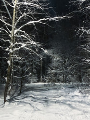 Similar image 21535280