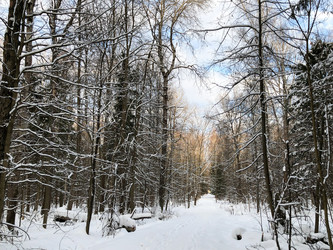 Similar image 21531482