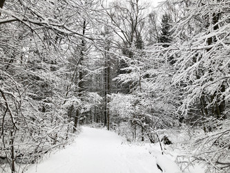 Similar image 21530575