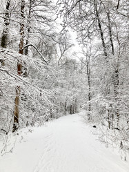 Similar image 21535876