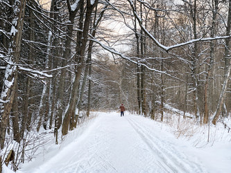 Similar image 21531483