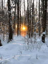 Similar image 21534047