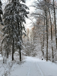 Similar image 21531045