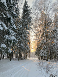 Similar image 21535877