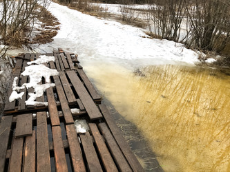 Similar image 21530576