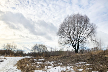 Similar image 21531046