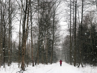 Similar image 21535283