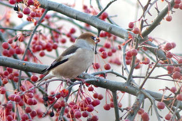 Similar image 21528996