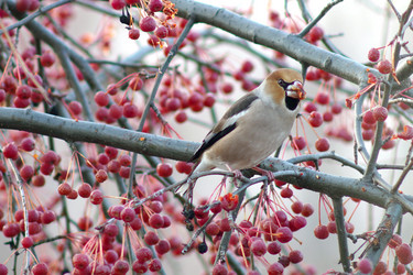 Similar image 21528997