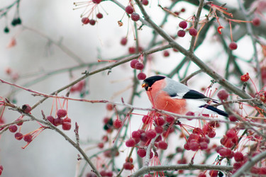 Similar image 21528998