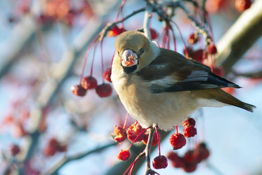 Similar image 21528999