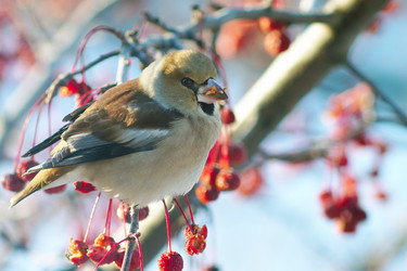 Similar image 21529000