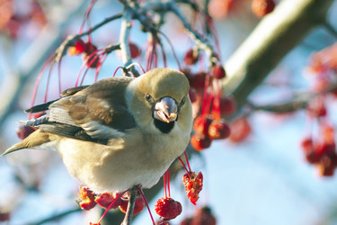 Similar image 21529002