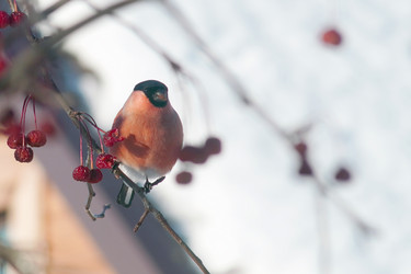 Similar image 21529005