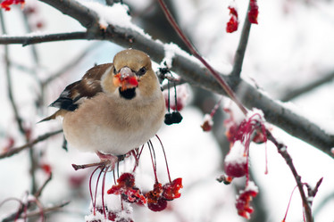 Similar image 21529006