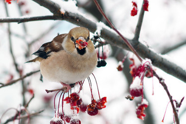 Similar image 21529007