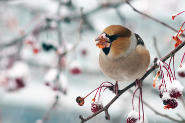 Similar image 21529008