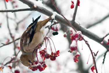 Similar image 21529009