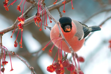 Similar image 21529010