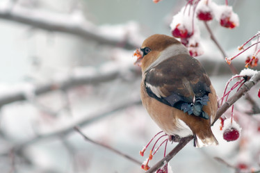 Similar image 21529011