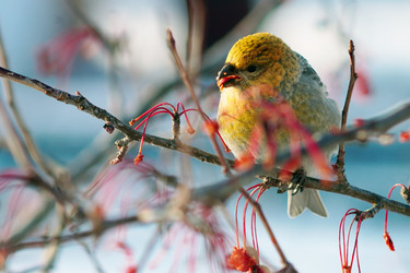 Similar image 21529014