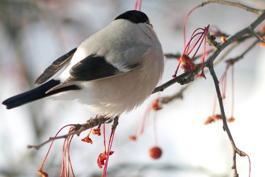 Similar image 21529015