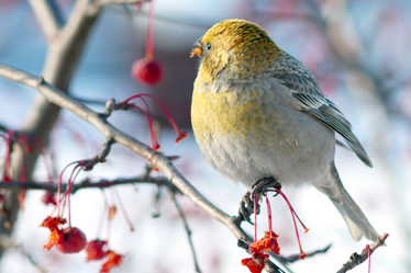 Similar image 21529016