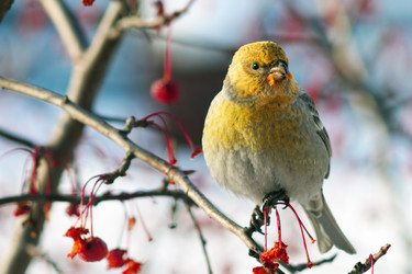 Similar image 21529017