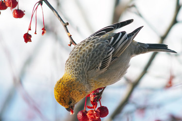 Similar image 21529018