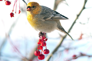 Similar image 21529019