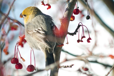 Similar image 21529021