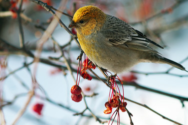 Similar image 21529022