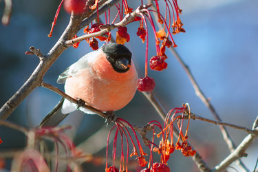 Similar image 21529023