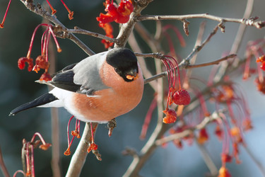 Similar image 21529024