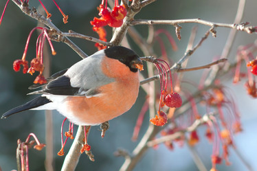 Similar image 21529025