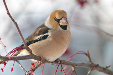 Similar image 21529026