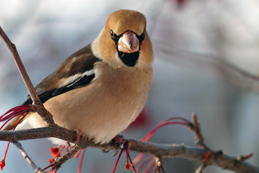 Similar image 21529027