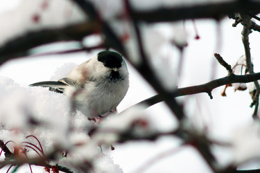 Similar image 21529028