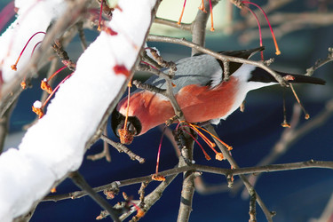 Similar image 21529029