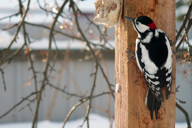 Similar image 21529031