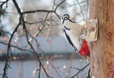 Similar image 21529037