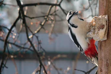 Similar image 21529038