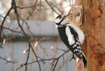 Similar image 21529042