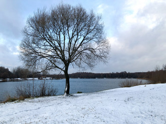 Similar image 21535284