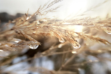 Similar image 21535879