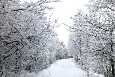 Similar image 21536012