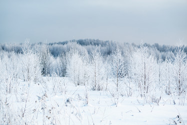 Similar image 21530445