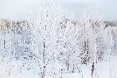 Similar image 21530446