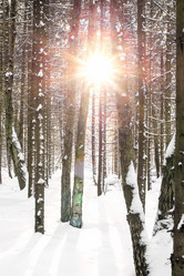 Similar image 21535481